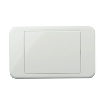 Digitek Custom Blank Wall Plate White 05DWP00
