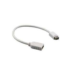 Mini DVI to HDMI Cable Adapter