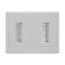 Pro2 Brush Dual Cable Management Wall Plate PRO1273